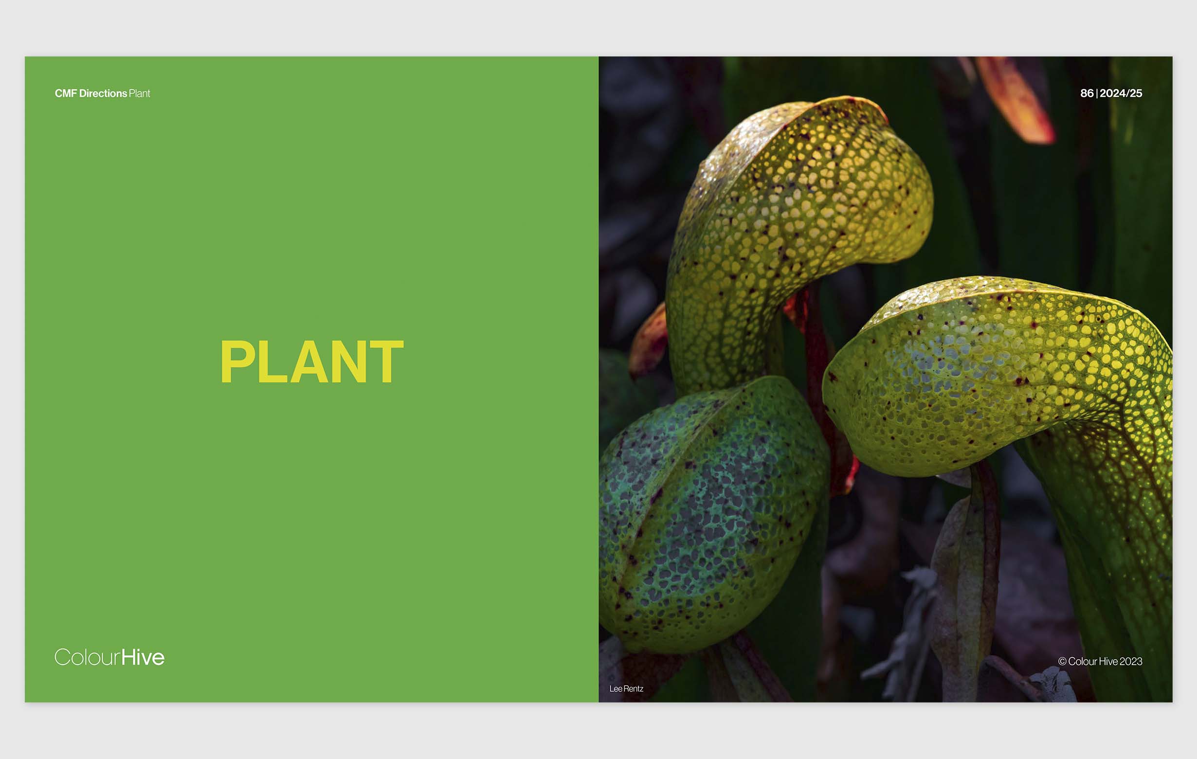 colourhive 4 kopiëren