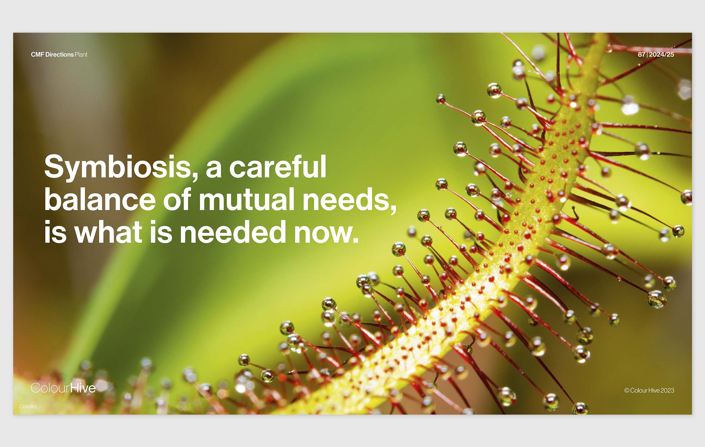 colourhive 7 kopiëren