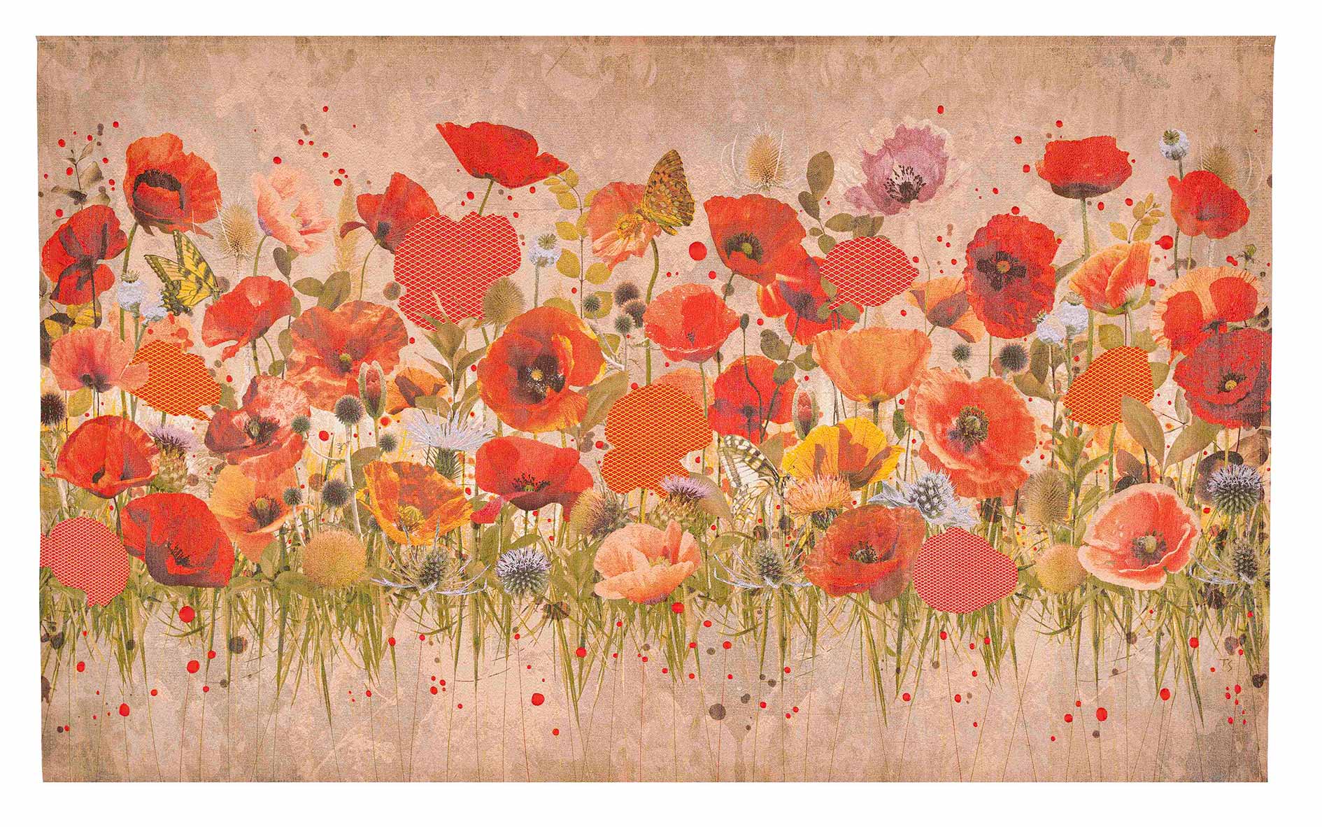 Tall Poppy - Image 2